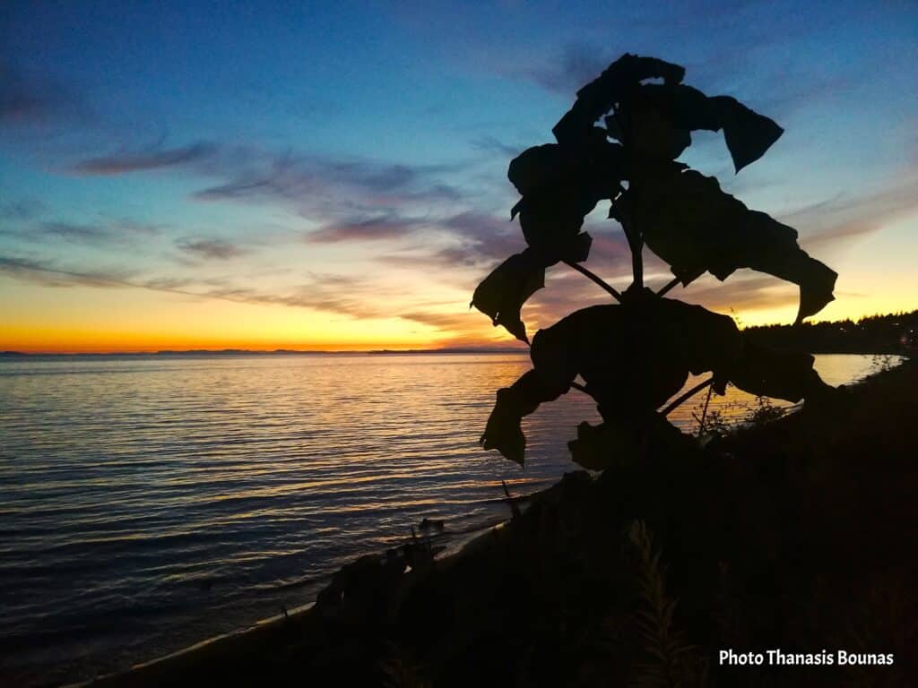 Sunset Serenity at White Rock Beach A Golden Hour by the Sea – Photo By Thanasis Bounas