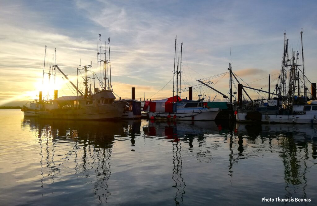 The Heartbeat of the Wharf Stories from Fisherman’s Wharf and Beyond – Photo By Thanasis Bounas