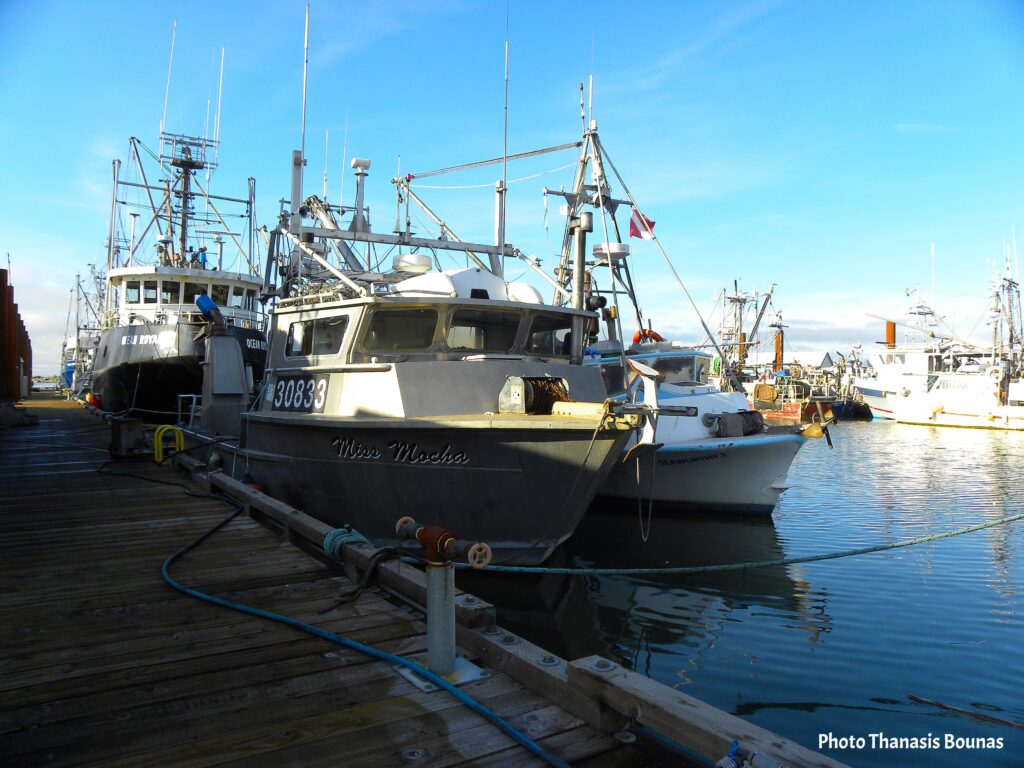 The Ocean's Gift Sustainable Seafood and Stewardship in BC - Photo By Thanasis Bounas