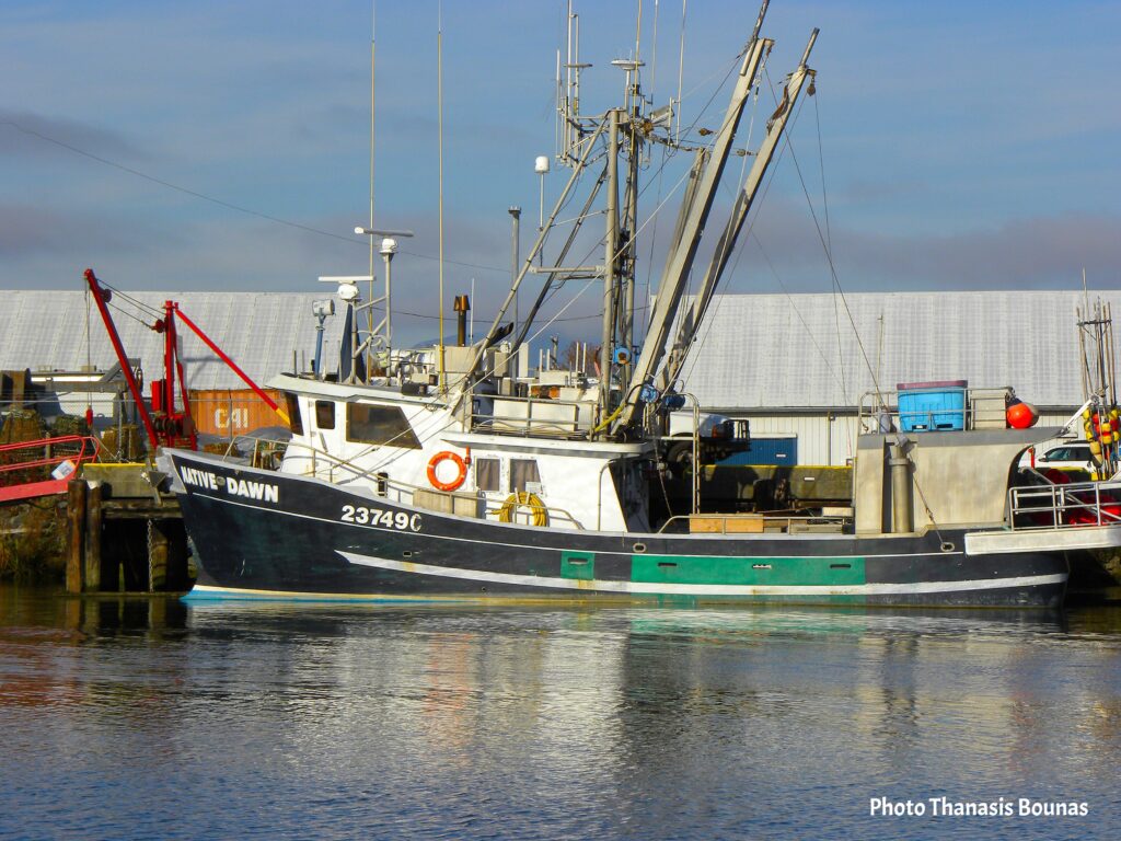 The Ocean's Gift Sustainable Seafood and Stewardship in BC - Photo By Thanasis Bounas