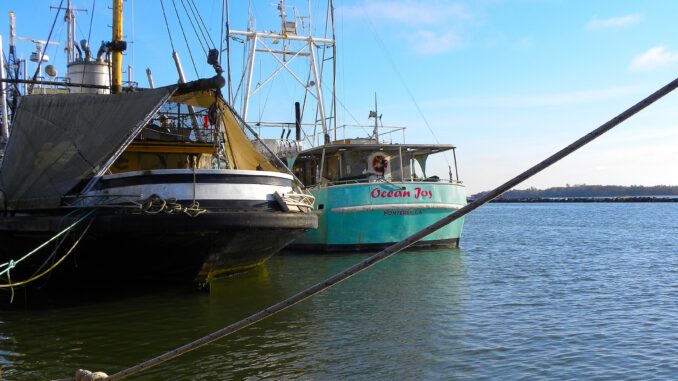 The Ocean's Gift Sustainable Seafood and Stewardship in BC - Photo By Thanasis Bounas