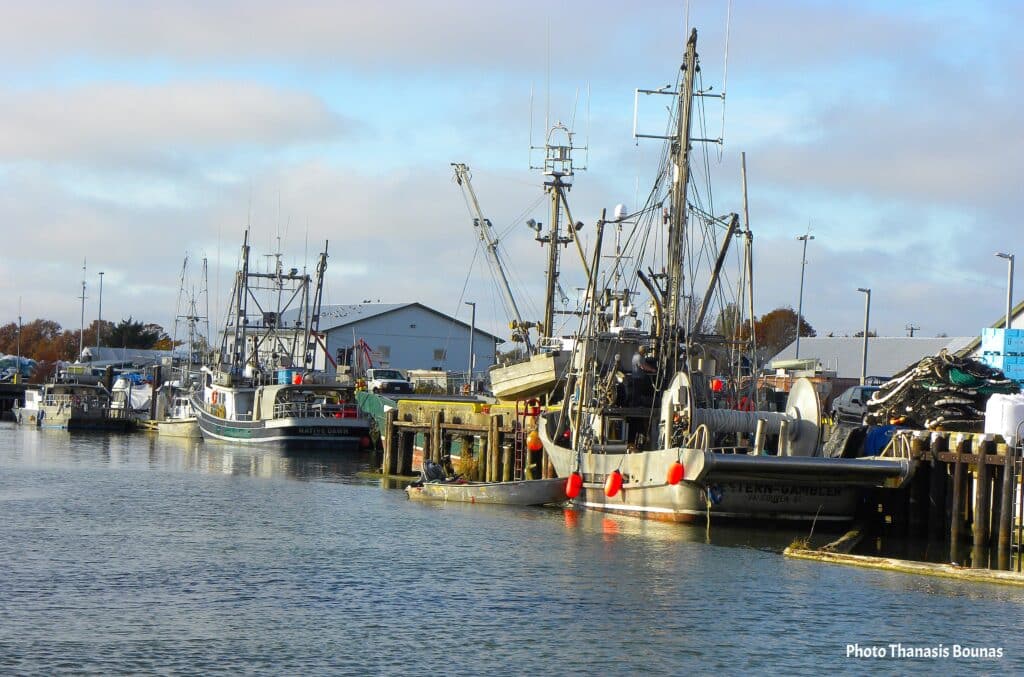 Tides and Tables The Coastal Dining Culture of British Columbia – Photo Thanasis Bounas