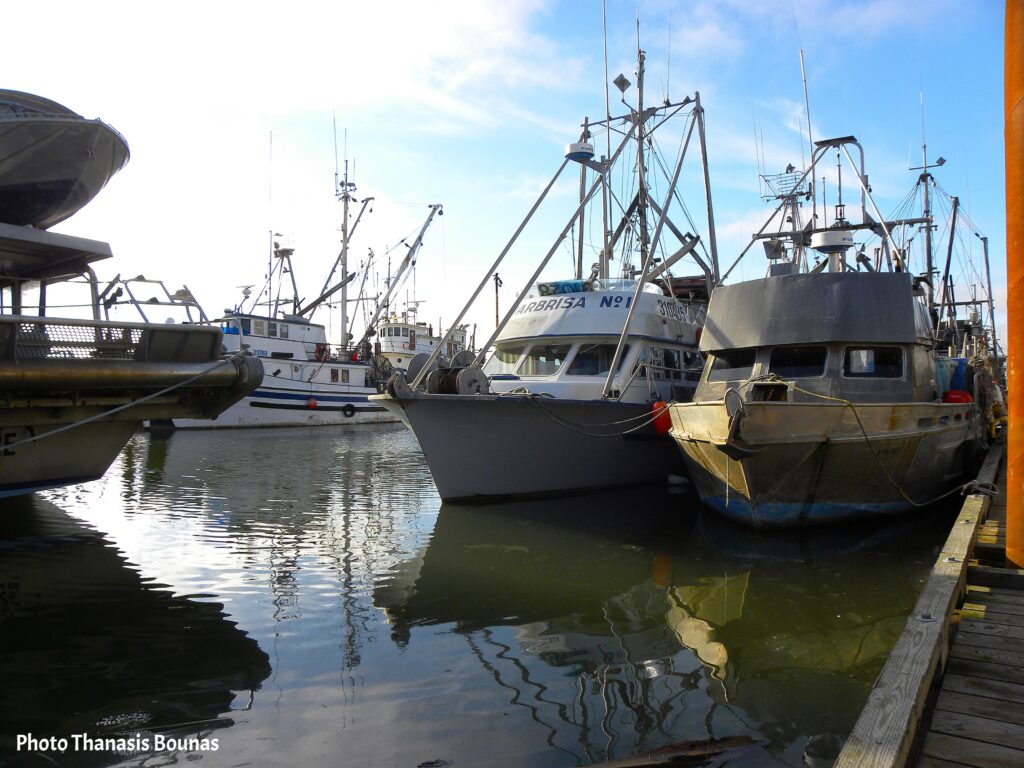 Voices of the Dock Conversations Carried by the Tide - Photo By Thanasis Bounas