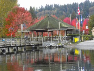 Where Sea Meets Cedar First Steps onto the Pier - Photo By Thanasis Bounas