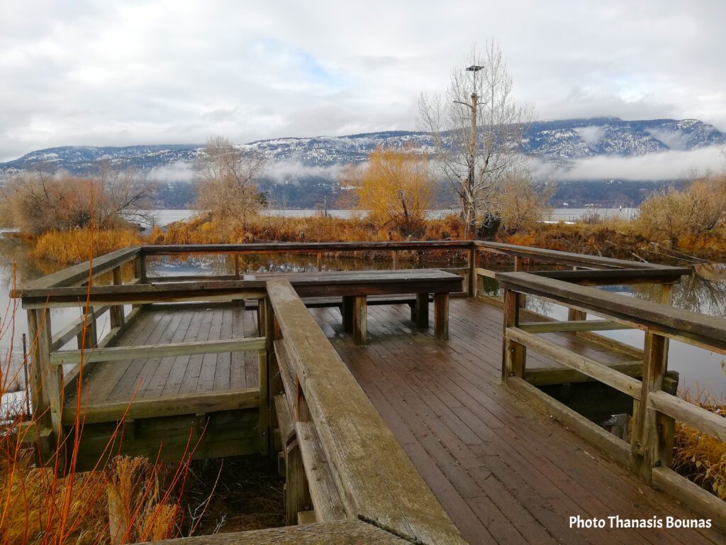 Winter Harmony in Kelowna - A Walk Where Nature and Humanity Meet - Photo Thanasis Bounas