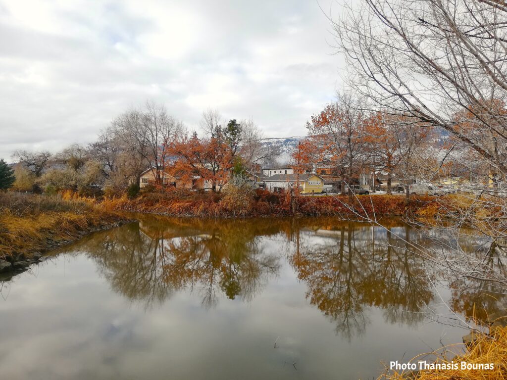 Winter Harmony in Kelowna - A Walk Where Nature and Humanity Meet - Photo Thanasis Bounas